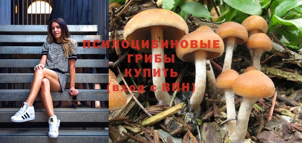 крисы Карталы