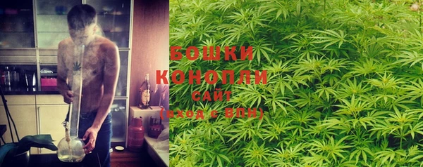 дживик Богородицк