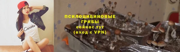 дживик Богородицк
