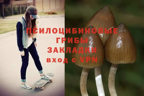 ALPHA-PVP Богородск