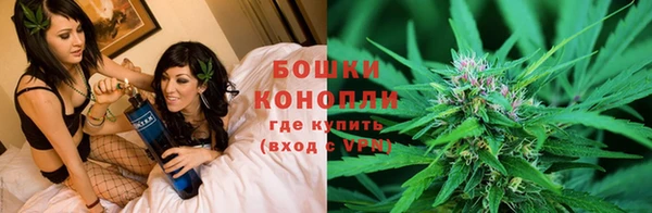 сатива Каменск-Шахтинский