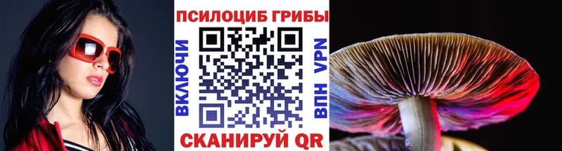 ОМГ ОМГ как зайти  цены   Сретенск  Галлюциногенные грибы Cubensis 